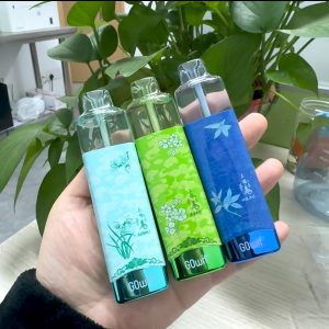 正品高维Gowif 18000口