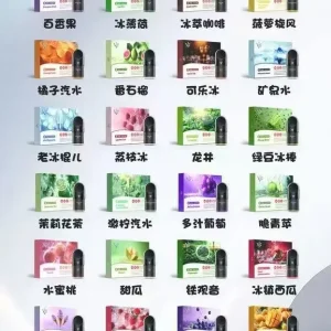 正品VS蛋 一盒三颗装（适用4、5、6、7代杆）